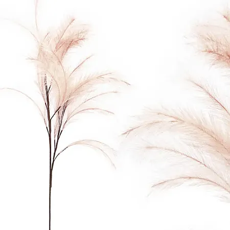 images/uploads/19965/thumb_00-00-6109-30 new.webp